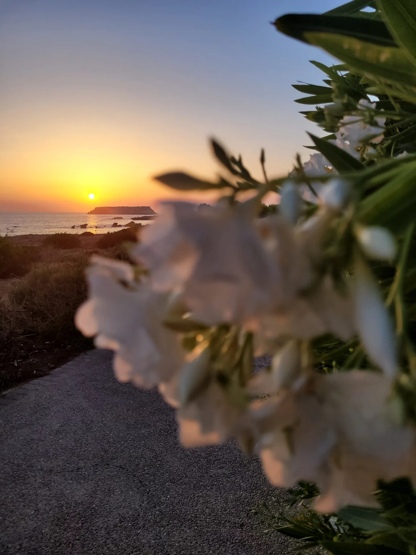 A quiet sunset moment on the Cyprus coast